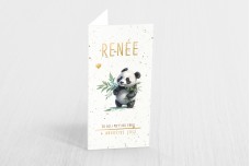 Kleine panda met blaadjes vast